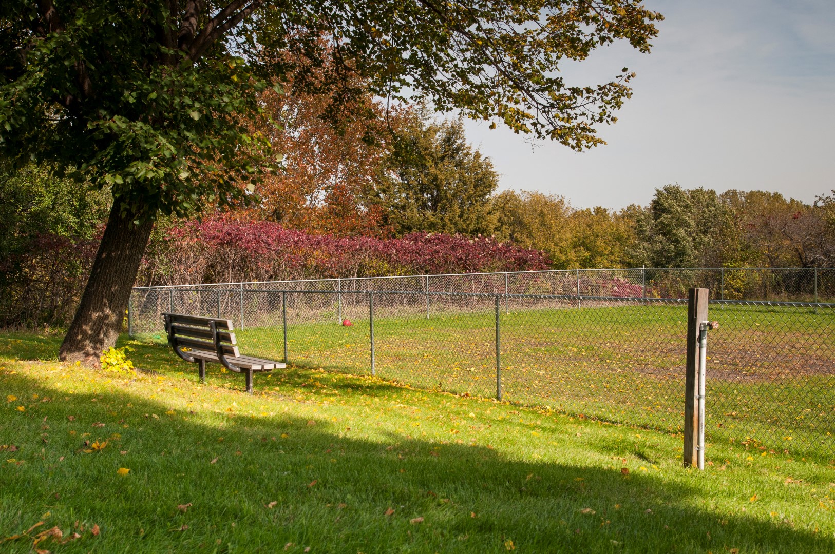 Edenvale Image 17